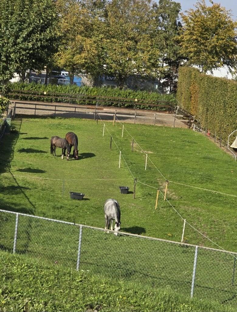Paarden stalling met uitloop te huur, Dieren en Toebehoren, Stalling en Weidegang, Stalling, 1 paard of pony