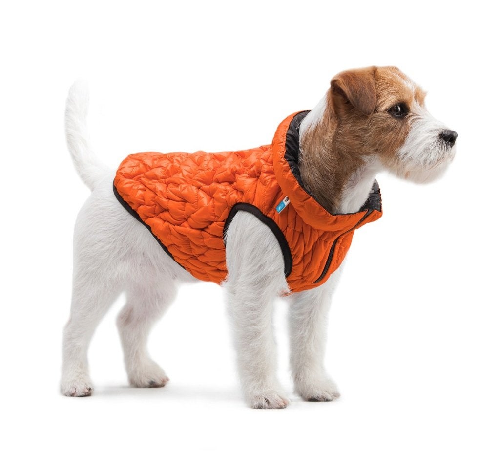 AiryVest UNI Hondenjas Omkeerbaar M48 Orange-Black -50%!!!, Ademend, Nieuw, Ophalen of Verzenden, Hondenjas