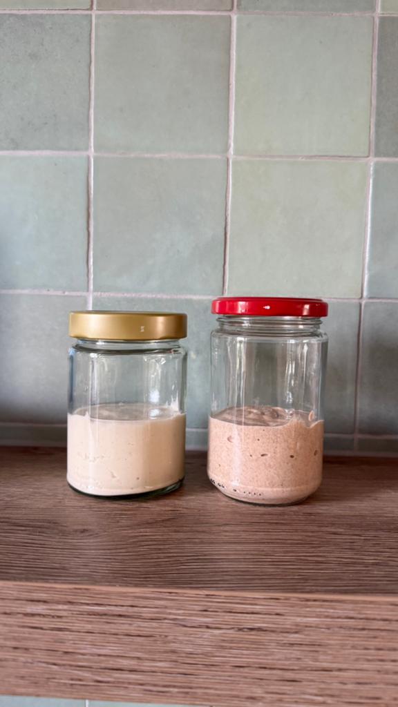 Zuurdesem Starter te koop ( wit of volkoren), Ophalen