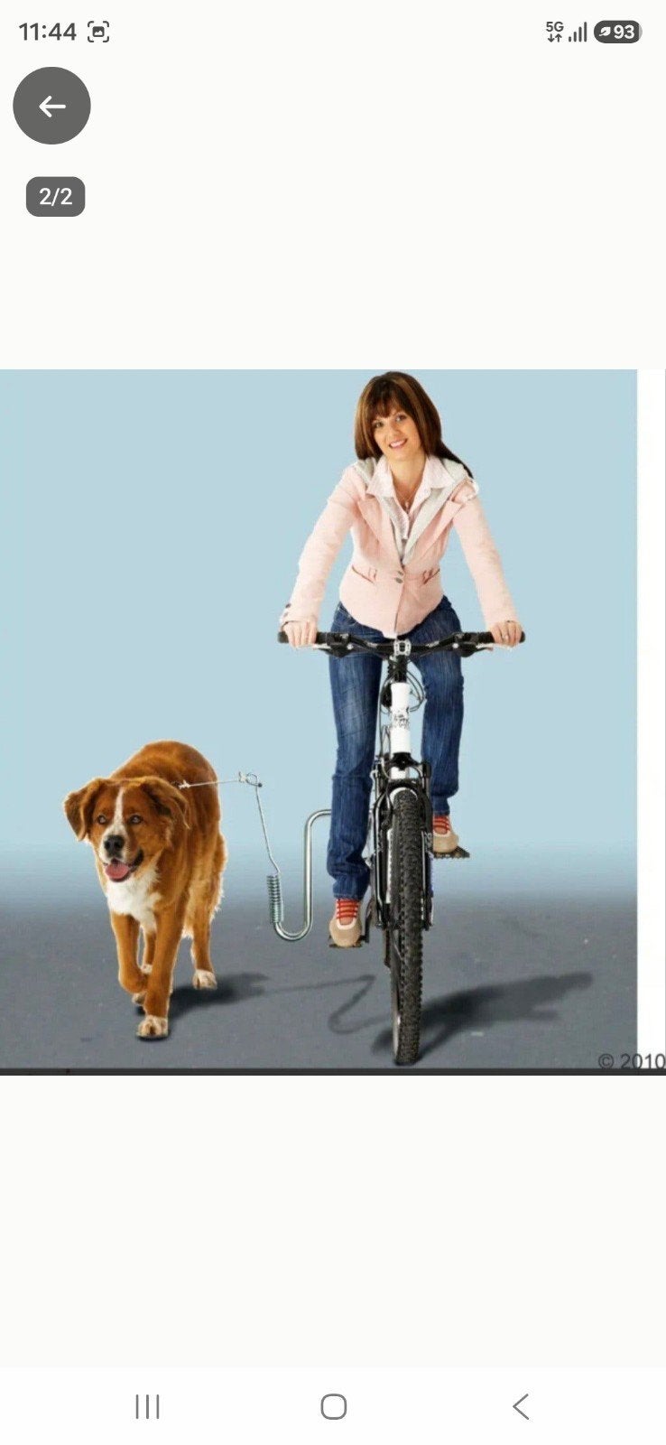 te koop honden loopstang, Ophalen, Zo goed als nieuw, Overige typen