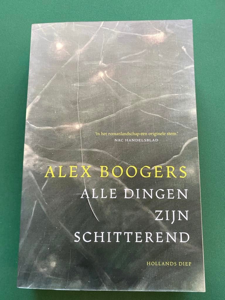 Alex Boogers - Alle dingen zijn schitterend, Ophalen of Verzenden, Zo goed als nieuw, Alex Boogers