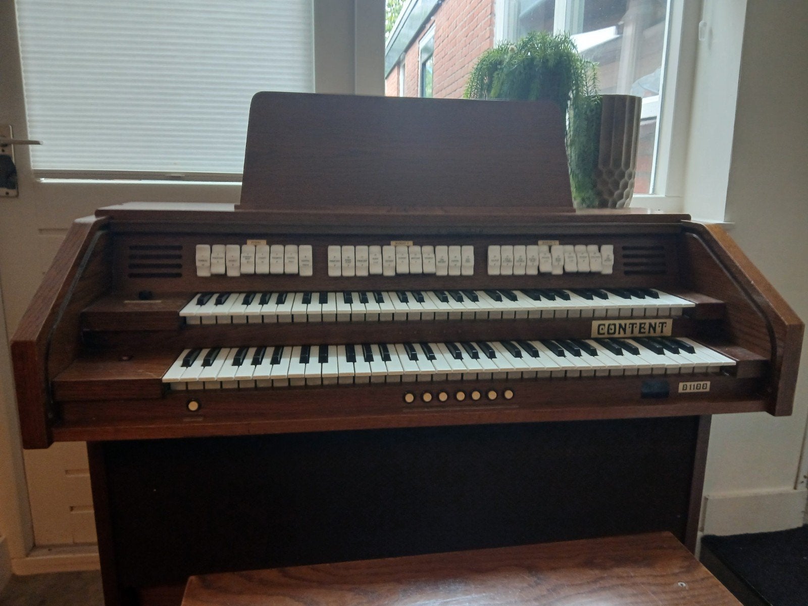 Content D1100, Muziek en Instrumenten, Ophalen