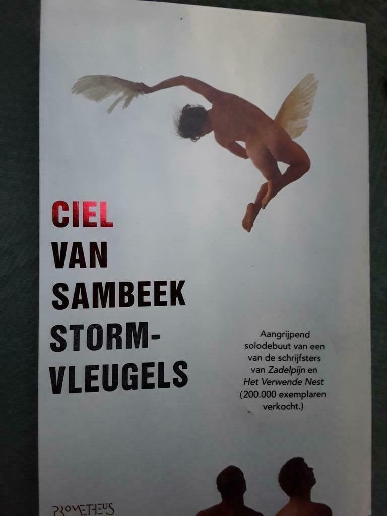 Ciel van Sambeek - Stormvleugels (Gelezen), Ophalen of Verzenden, Gelezen, Ciel van Sambeek