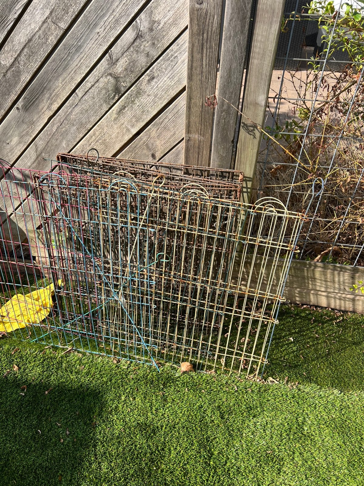 GRATIS Knaagdieren ren, Ophalen, 60 tot 90 cm, Konijn, Ren
