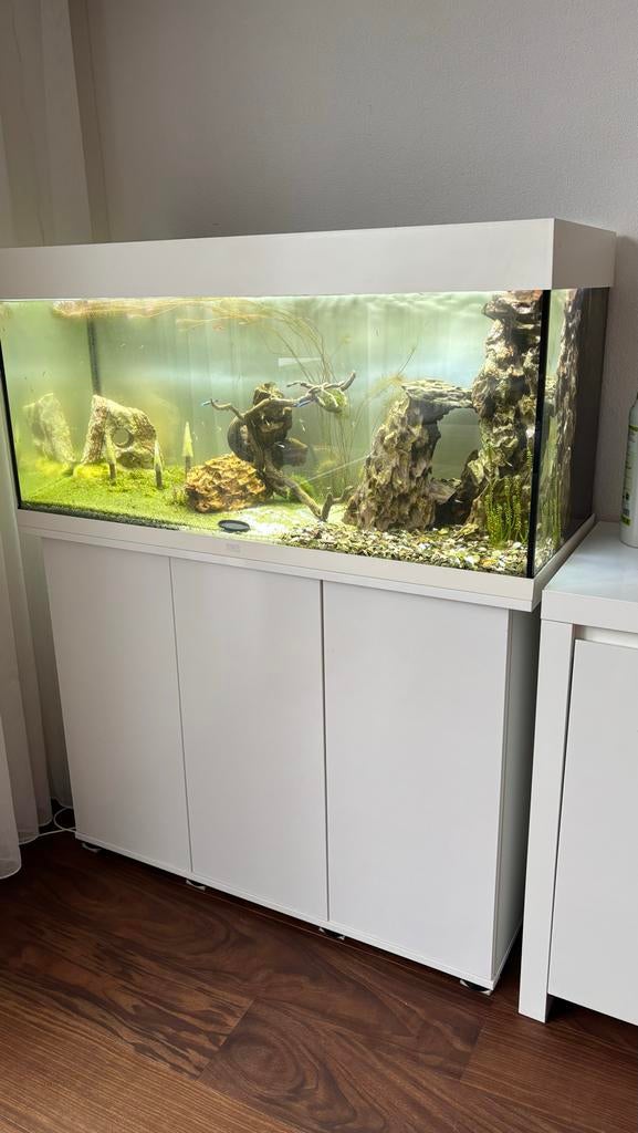 Juwel Aquarium Rio 180 101x41x50 Aquaria 180L met kast - Wit, Ophalen, Leeg aquarium