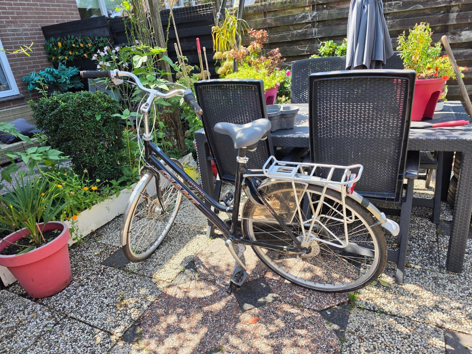 Dames fiets Giant freerider Lite, Gebruikt, Minder dan 47 cm, Giant, Ophalen of Verzenden