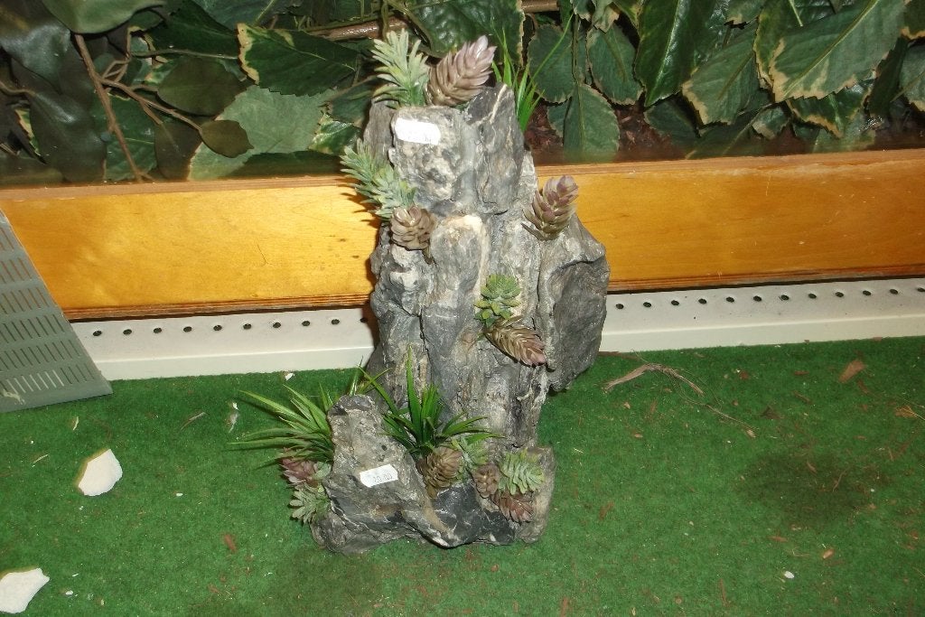 rots partijen ( echt steen ), Ophalen, Nieuw, Tak, Plant, Rots of Steen