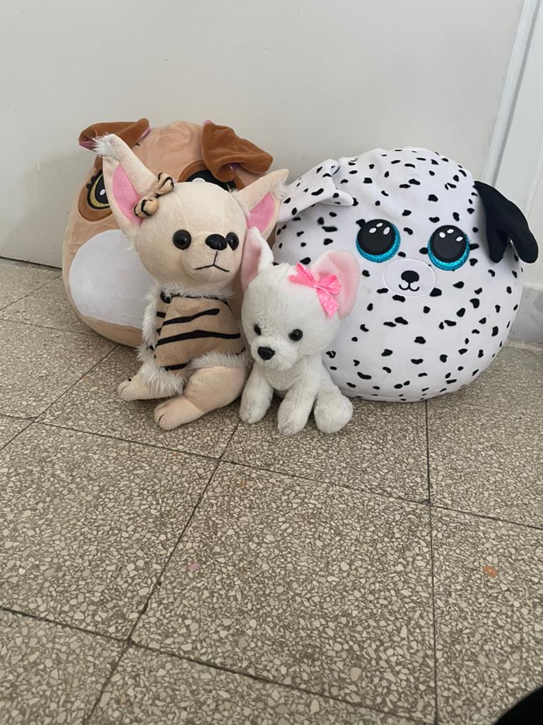 Honden setje, Ophalen of Verzenden, Hond