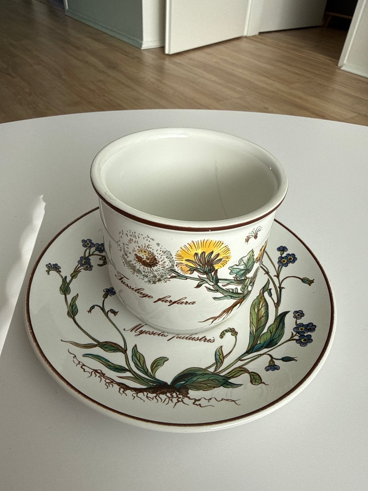 Villeroy & Boch Botanica kop en schotel - Tussilago farfara, Huis en Inrichting, Keuken | Servies, Villeroy & Boch, Vintage, Ophalen of Verzenden