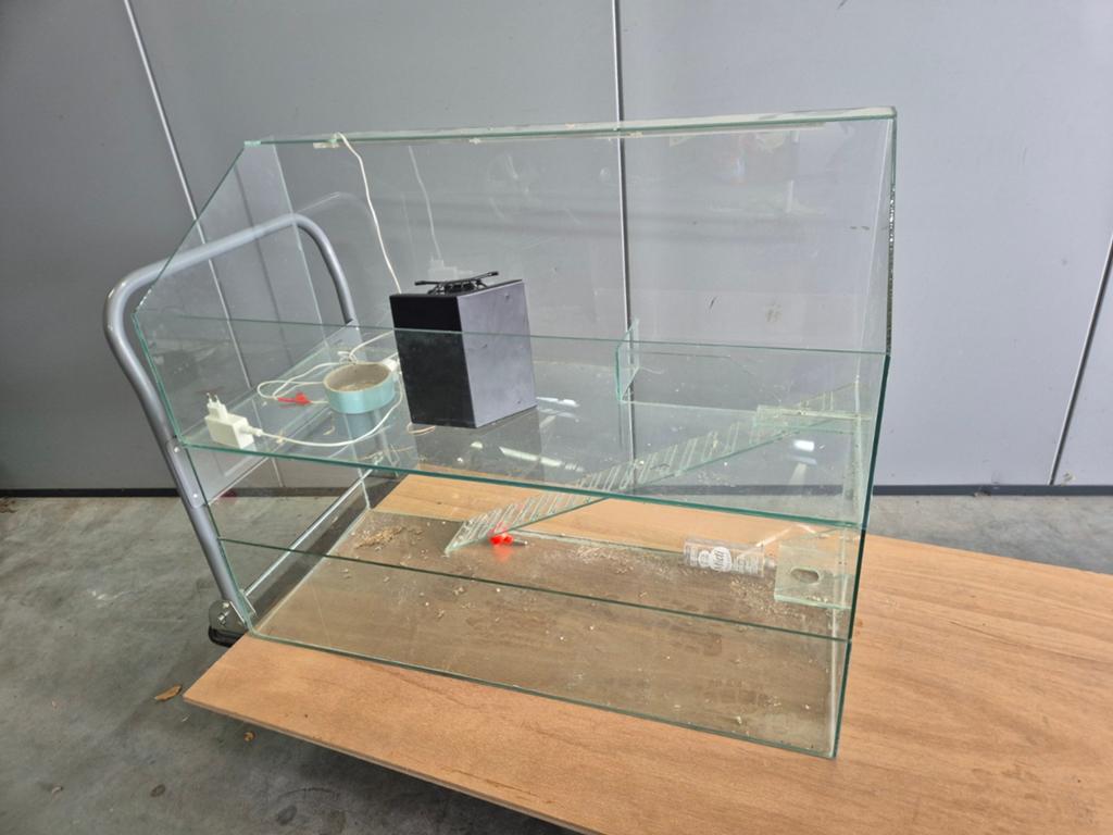 Glazen hok knaagdieren cavia konijn, Dieren en Toebehoren, Ophalen, Hok, Konijn, Minder dan 60 cm