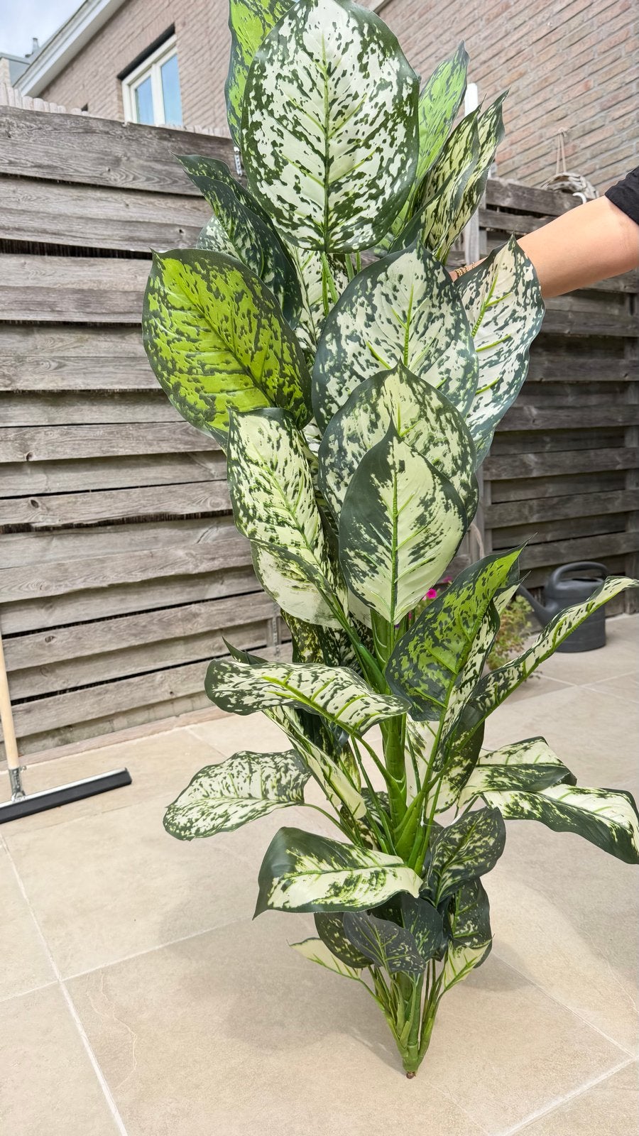 Nieuwe Kunstplant - Intratuin Silk Decoration, Huis en Inrichting, Binnen, Groen, Kunstplant, Nieuw