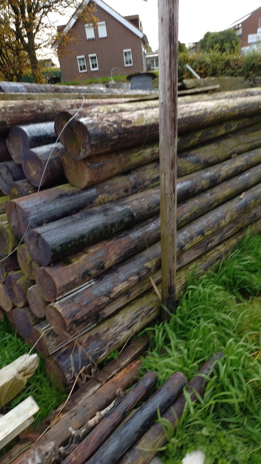 Gecreosoteerde palen, Ophalen of Verzenden, Balk, Overige houtsoorten, 50 mm of meer