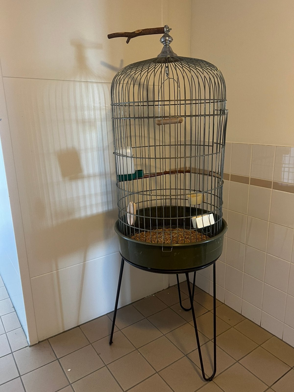 Grote vogelkooi, Ophalen, Zo goed als nieuw, Metaal, Vogelkooi