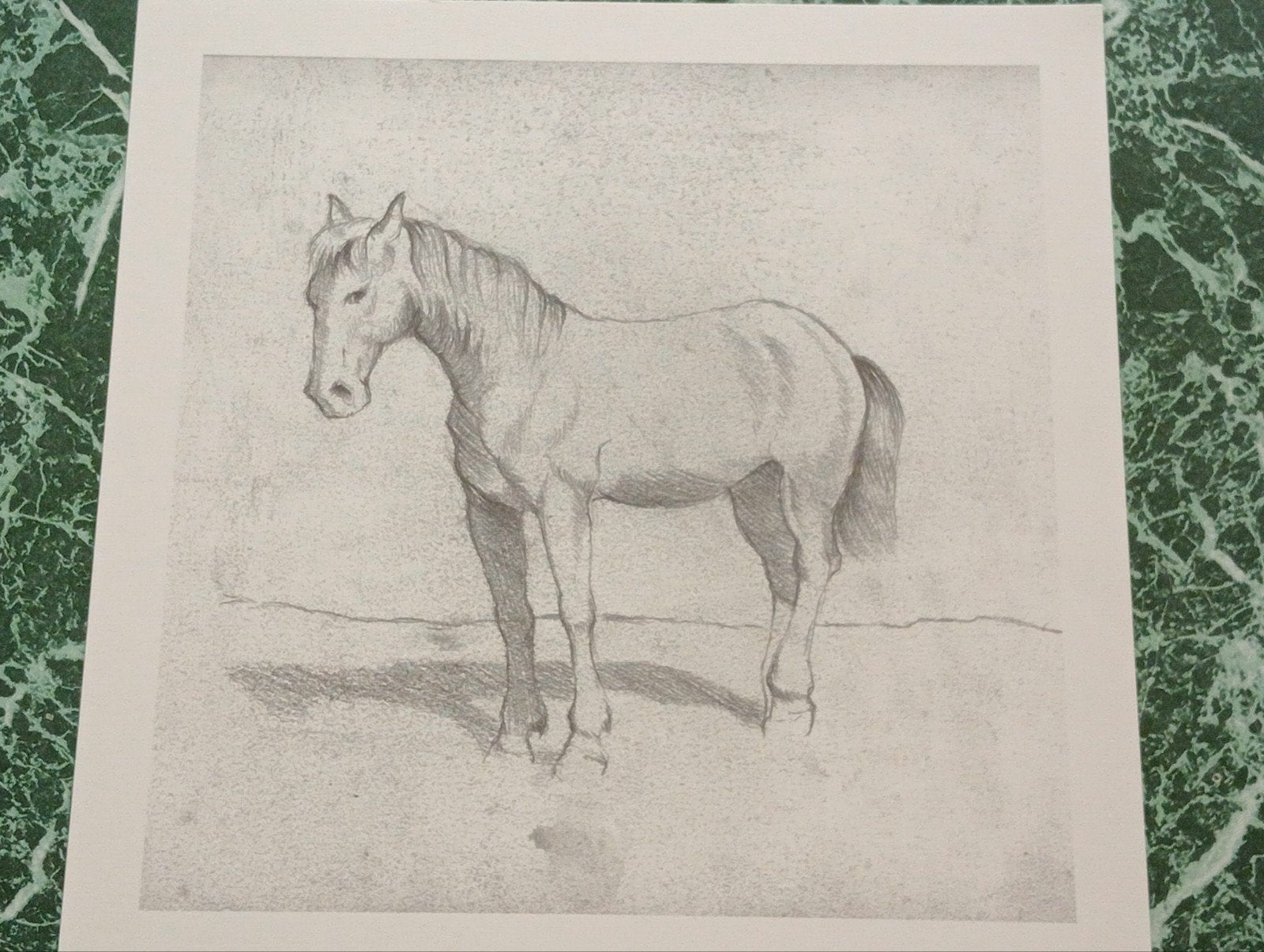Prent paard, Ophalen of Verzenden, Voor 1940, Zo goed als nieuw