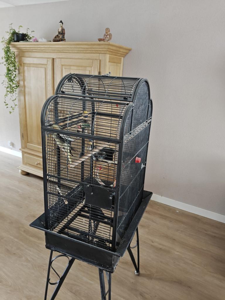 Vogelkooi met valkparkiet, Ophalen, Gebruikt, Metaal, Vogelkooi