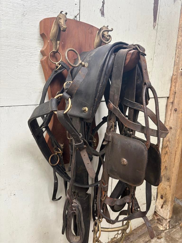 Antiek compleet ponytuig / shetlandtuig voor decoratie, Ophalen of Verzenden, Gebruikt, Overige soorten