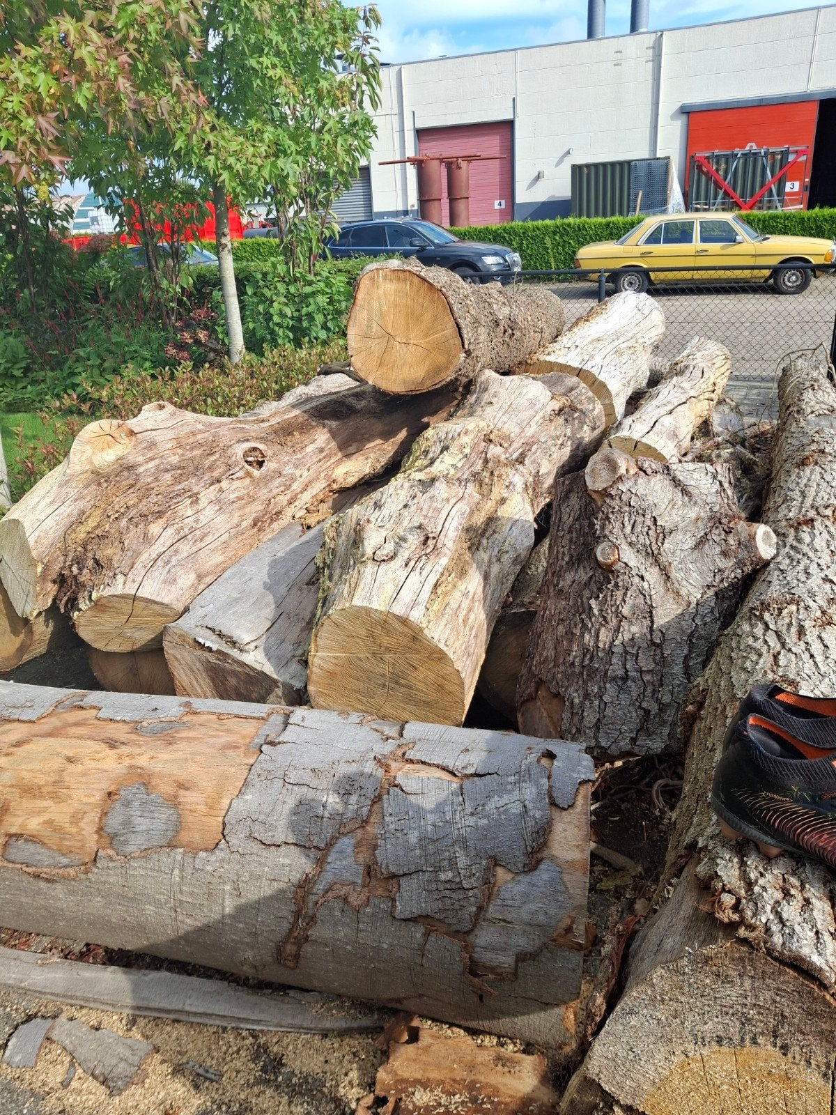 eiken stammen 2 tot 5 meter, Tuin en Terras, 6 m³ of meer, Ophalen, Eikenhout, Stammen
