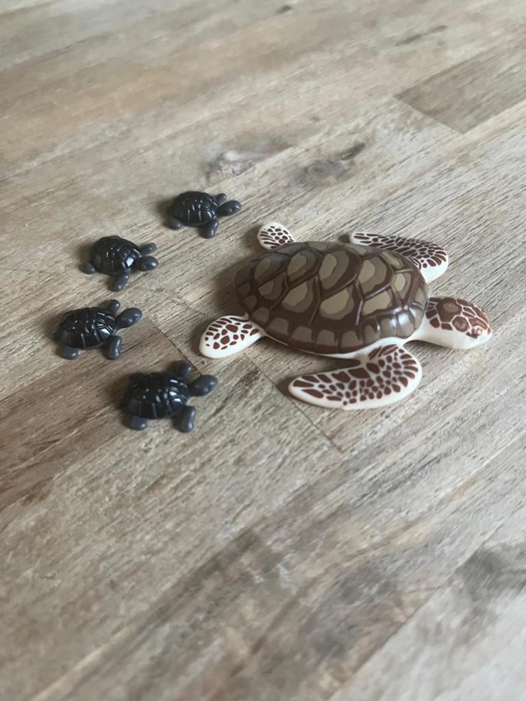 Playmobil 9071 zeeschildpadden, Kinderen en Baby's, Speelgoed | Playmobil, Ophalen of Verzenden, Zo goed als nieuw, Complete set