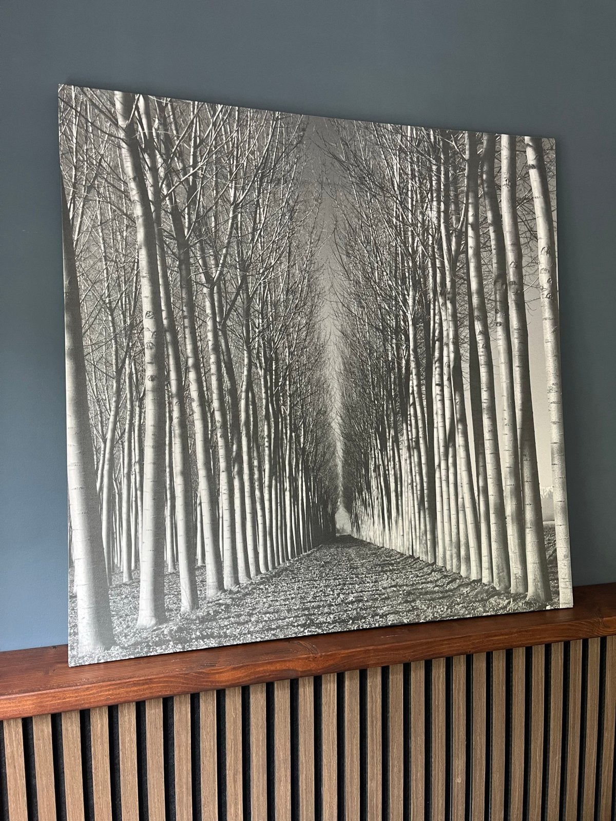 IKEA PJÄTTERYD Canvas Schilderij Bomenlaan 90x90 cm, Ophalen, Zo goed als nieuw, 75 tot 100 cm, Print