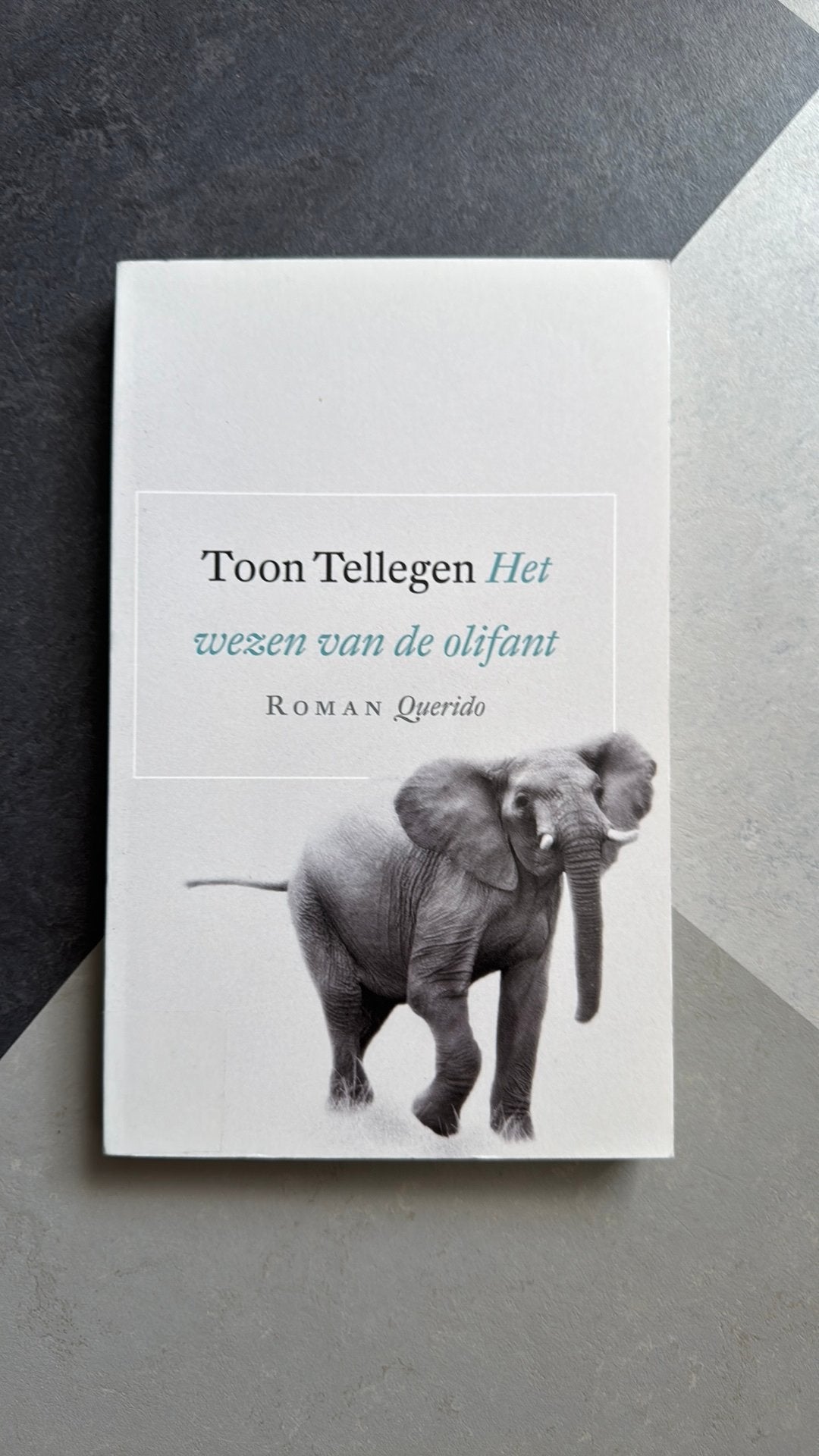 Toon Tellegen - Het wezen van de olifant, Ophalen of Verzenden, Zo goed als nieuw, Toon Tellegen