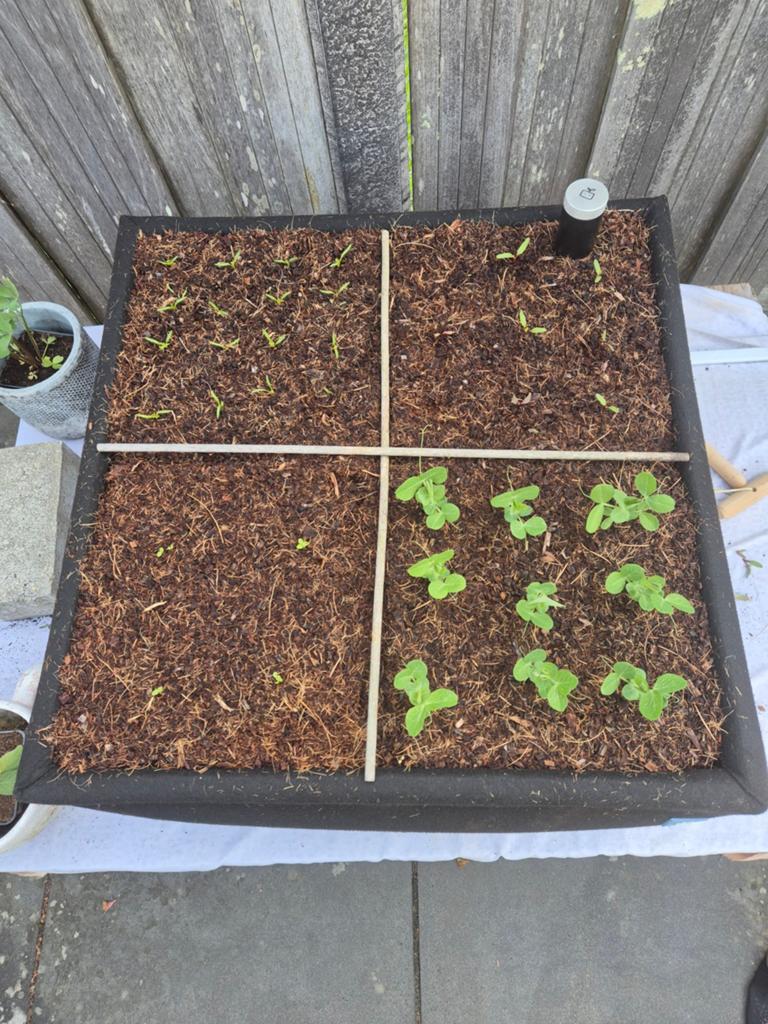 Gevraagd airbak of mini's makkelijke moestuin, Ophalen of Verzenden