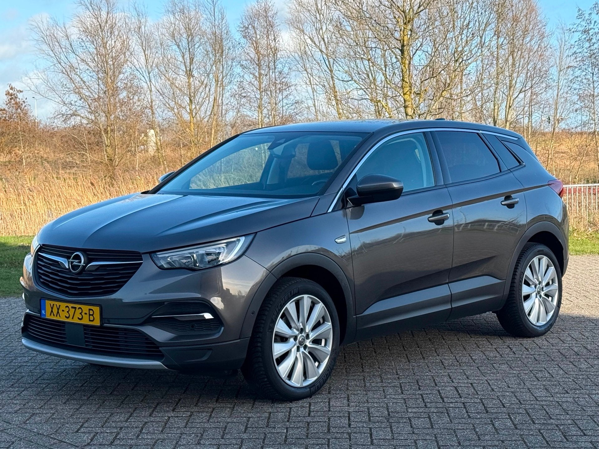 Opel Grandland X 1.2 Turbo Business Executive - Moonstone Gr, Auto's, Voorwielaandrijving, Gebruikt, 1199 cc, Leder en Stof