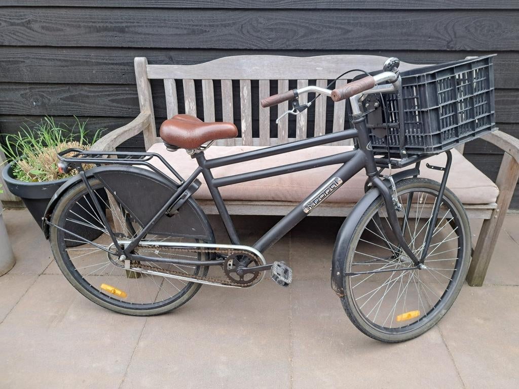 Popal fiets met mand - Ideaal voor dagelijks gebruik, Terugtraprem, Versnellingen, Ophalen, Overige merken