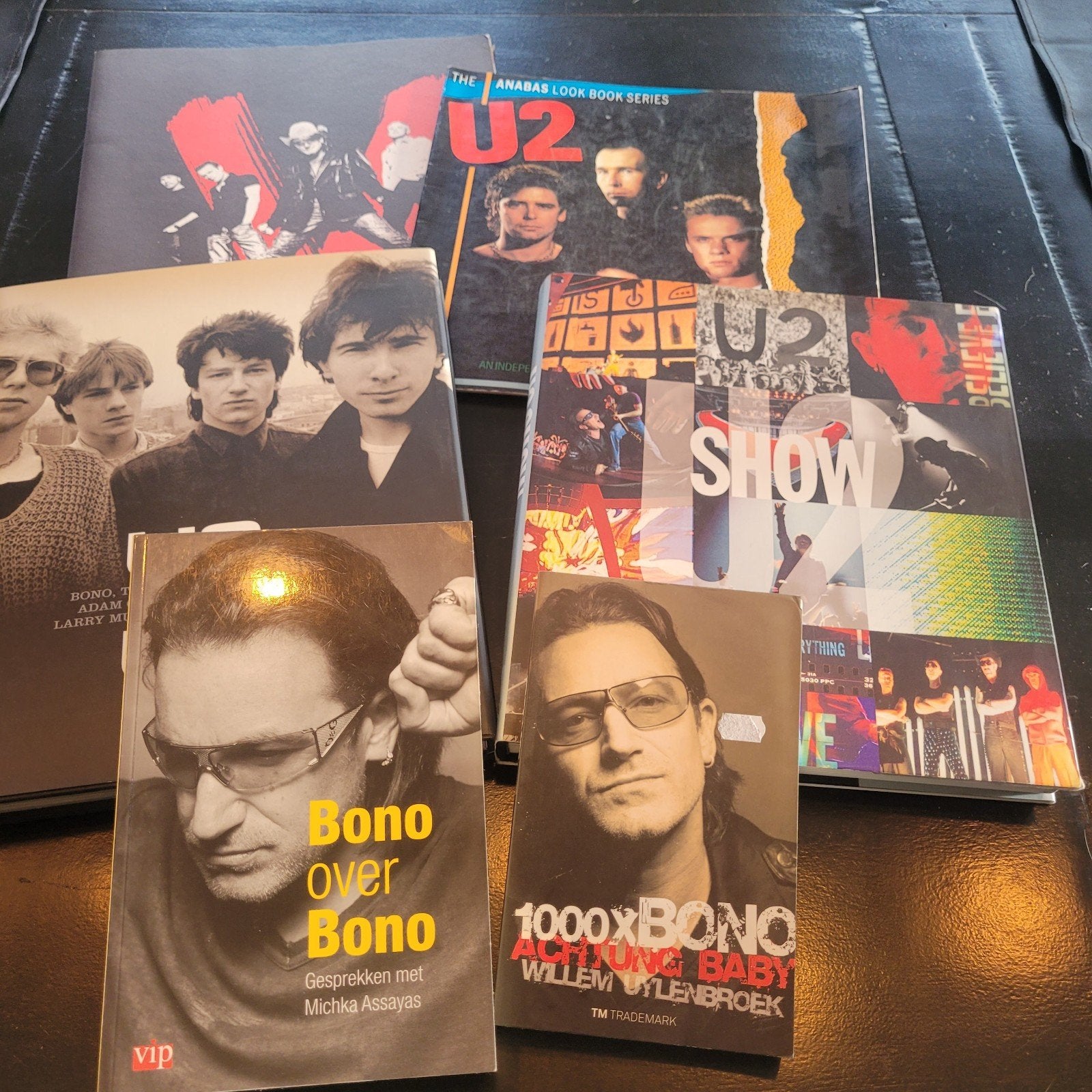 U2 Boeken Collectie, Ophalen of Verzenden, Gelezen, Artiest, Diverse Auteurs