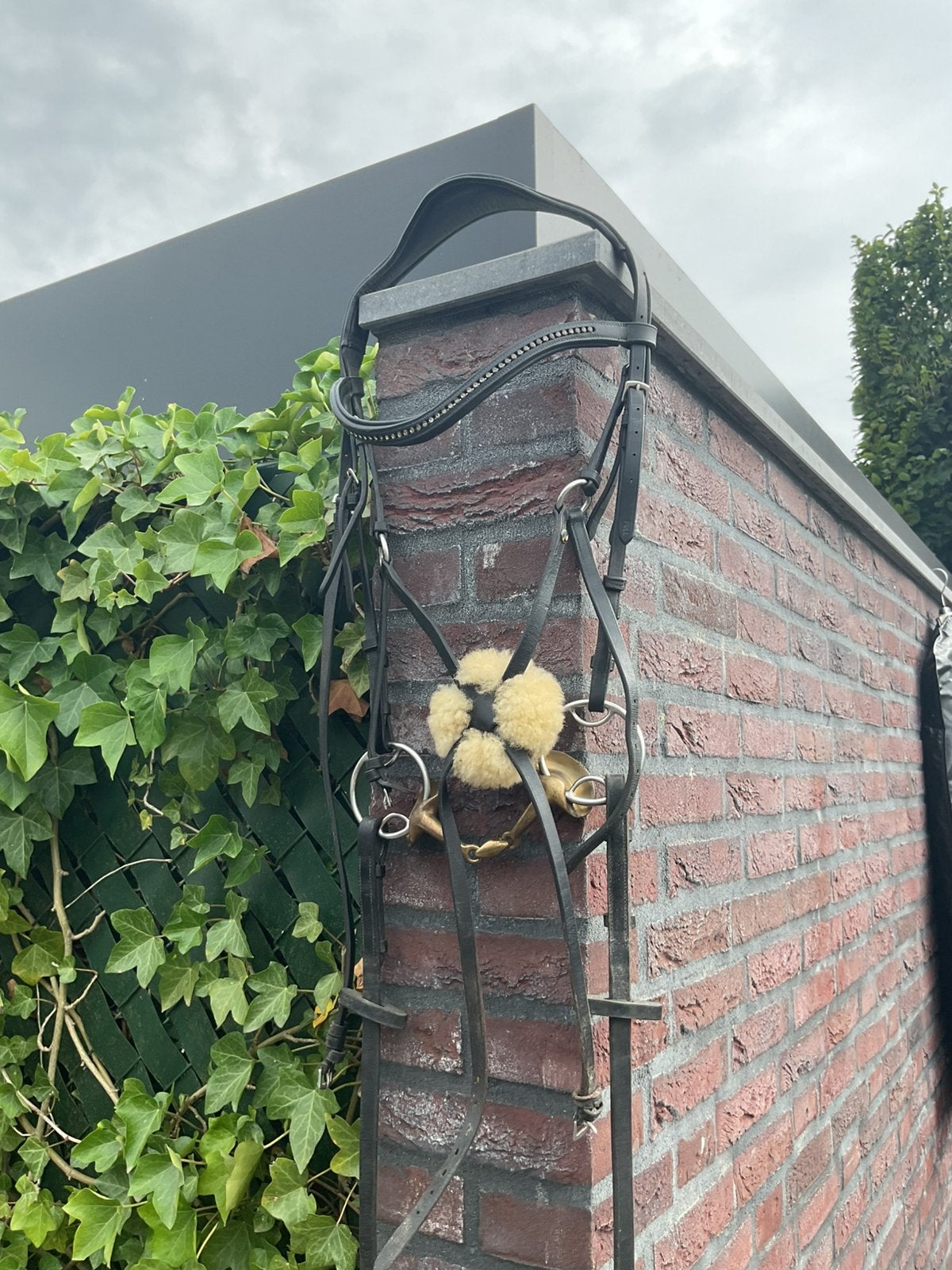 Mexicaans Hoofdstel, Ophalen of Verzenden, Zwart, Full, Hoofdstel