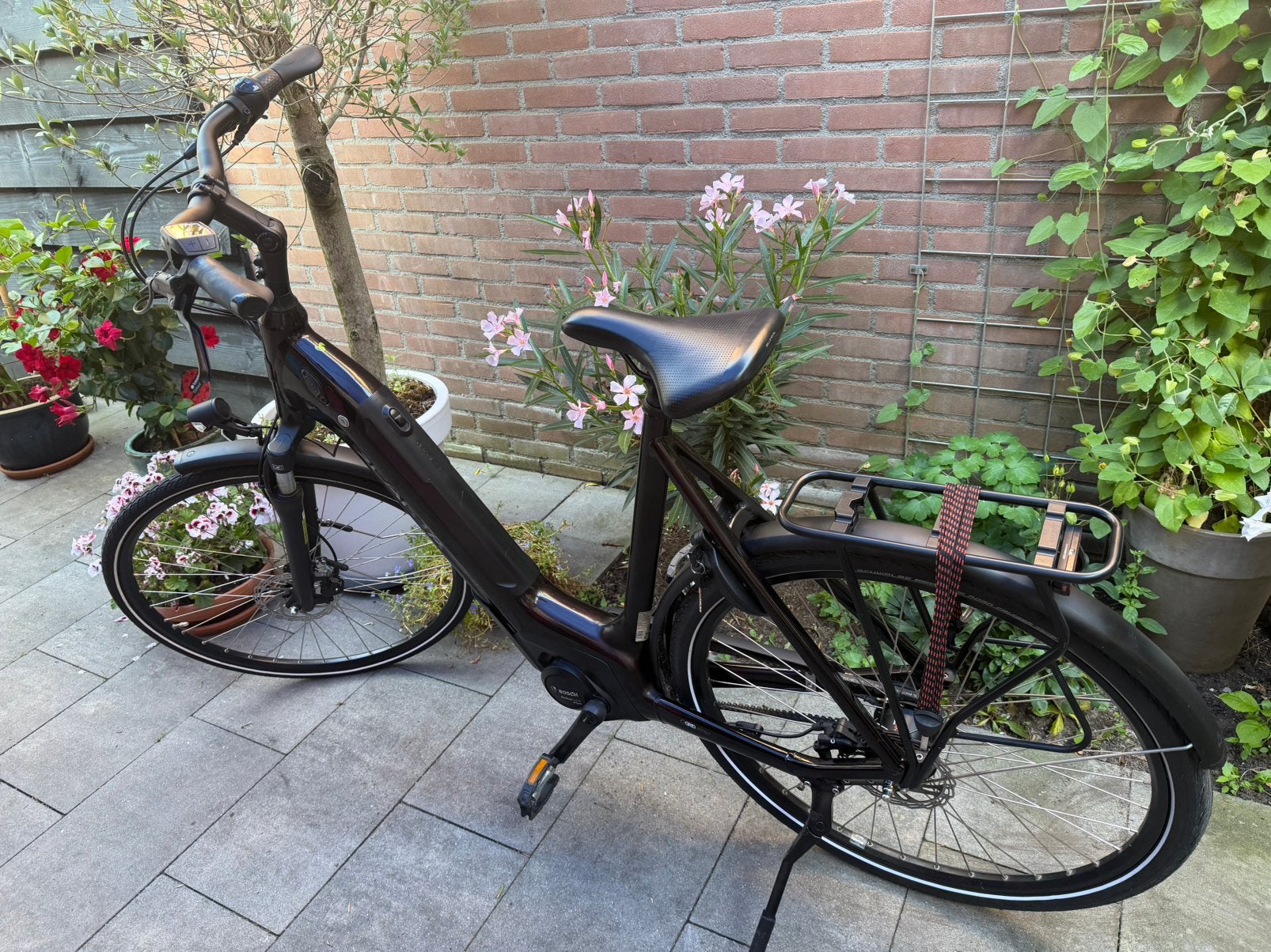 Sparta C-Grid Energy Bouwjaar: 2021 Framemaat: 61, 59 cm of meer, Ophalen, Zo goed als nieuw, Sparta