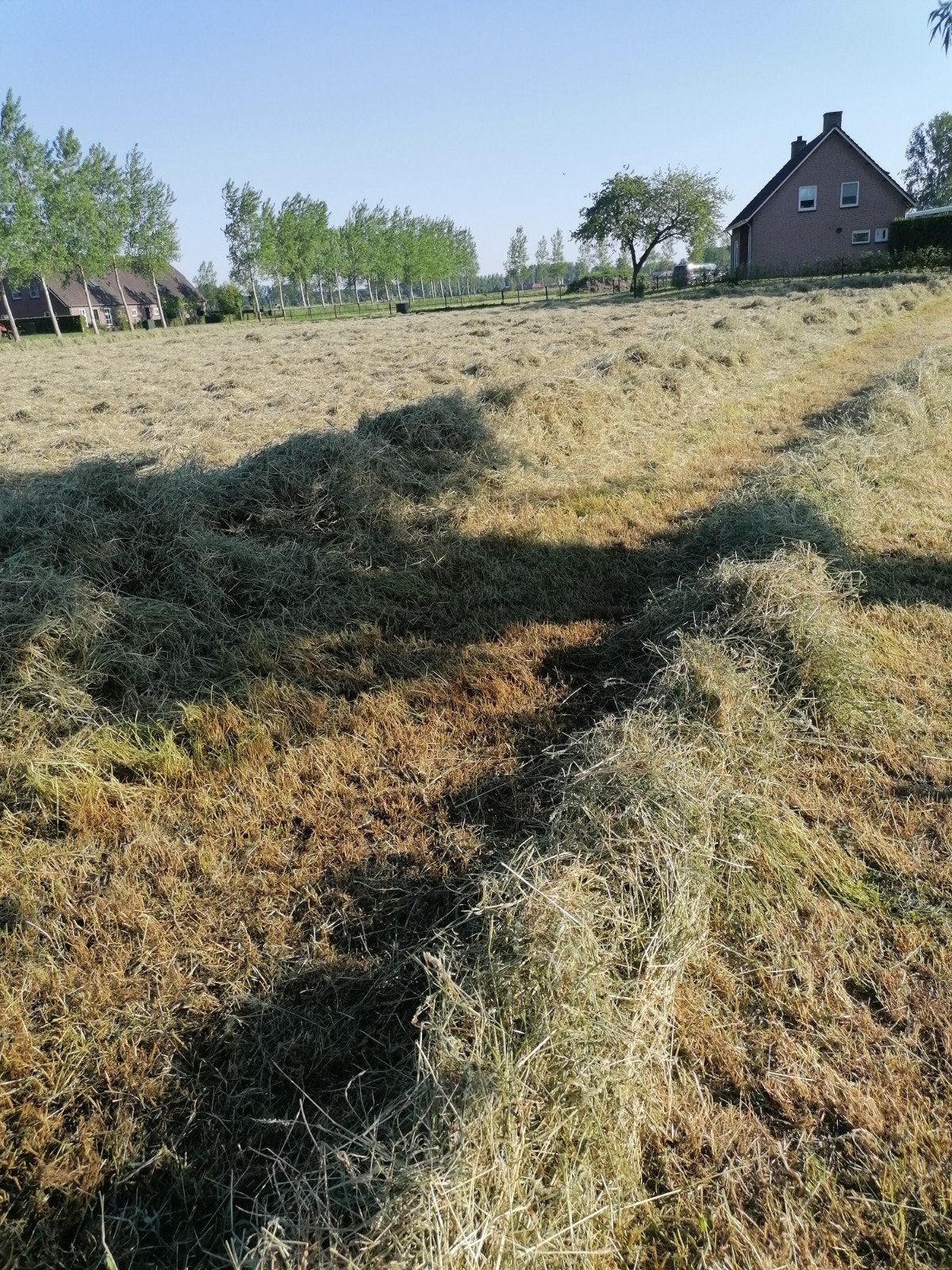Hooi te koop - touwpakjes, Ophalen