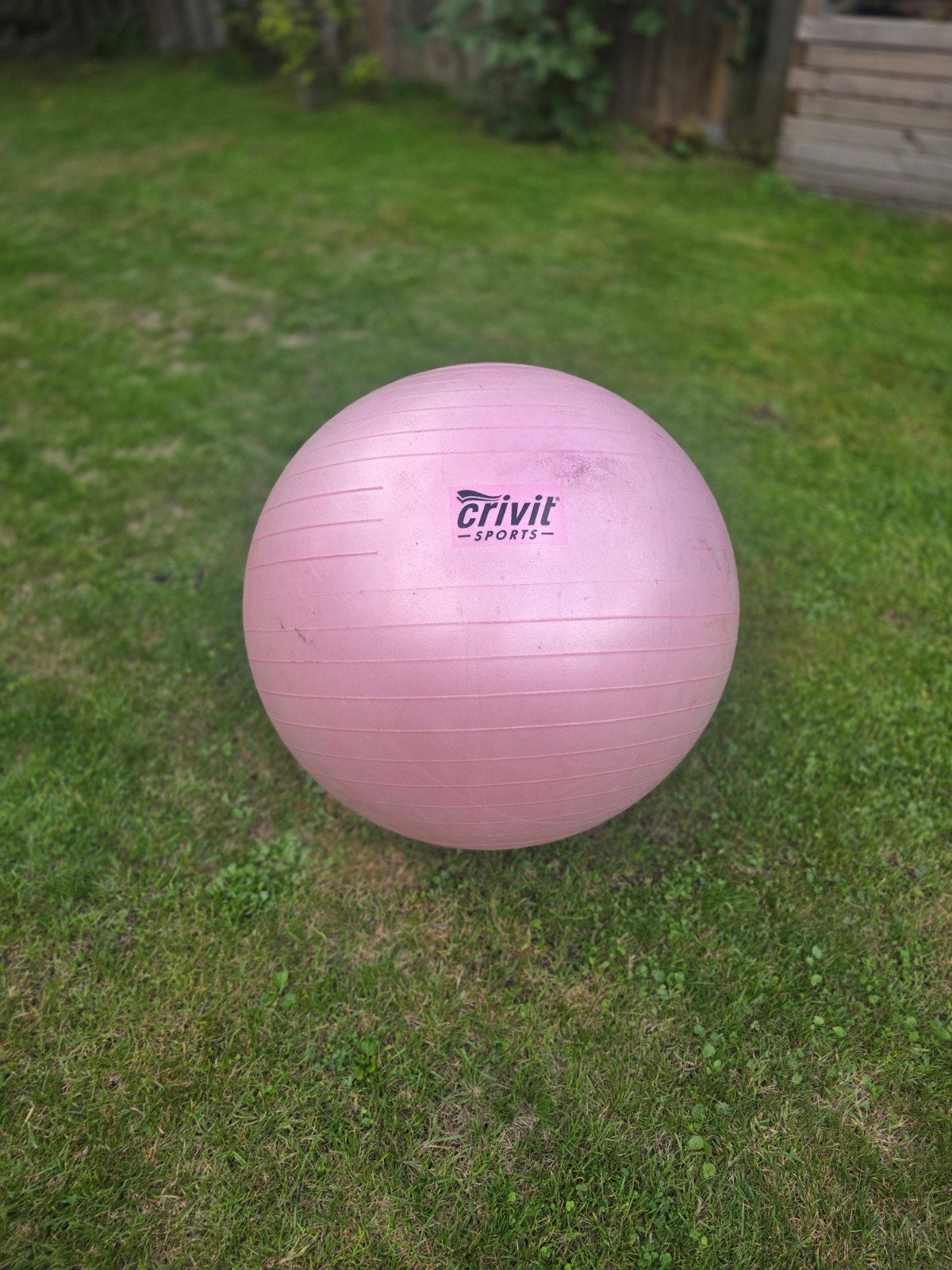 Roze Crivit Fitnessbal - ca. 60 cm diameter, Ophalen, Gebruikt, Buik, Fitnessbal