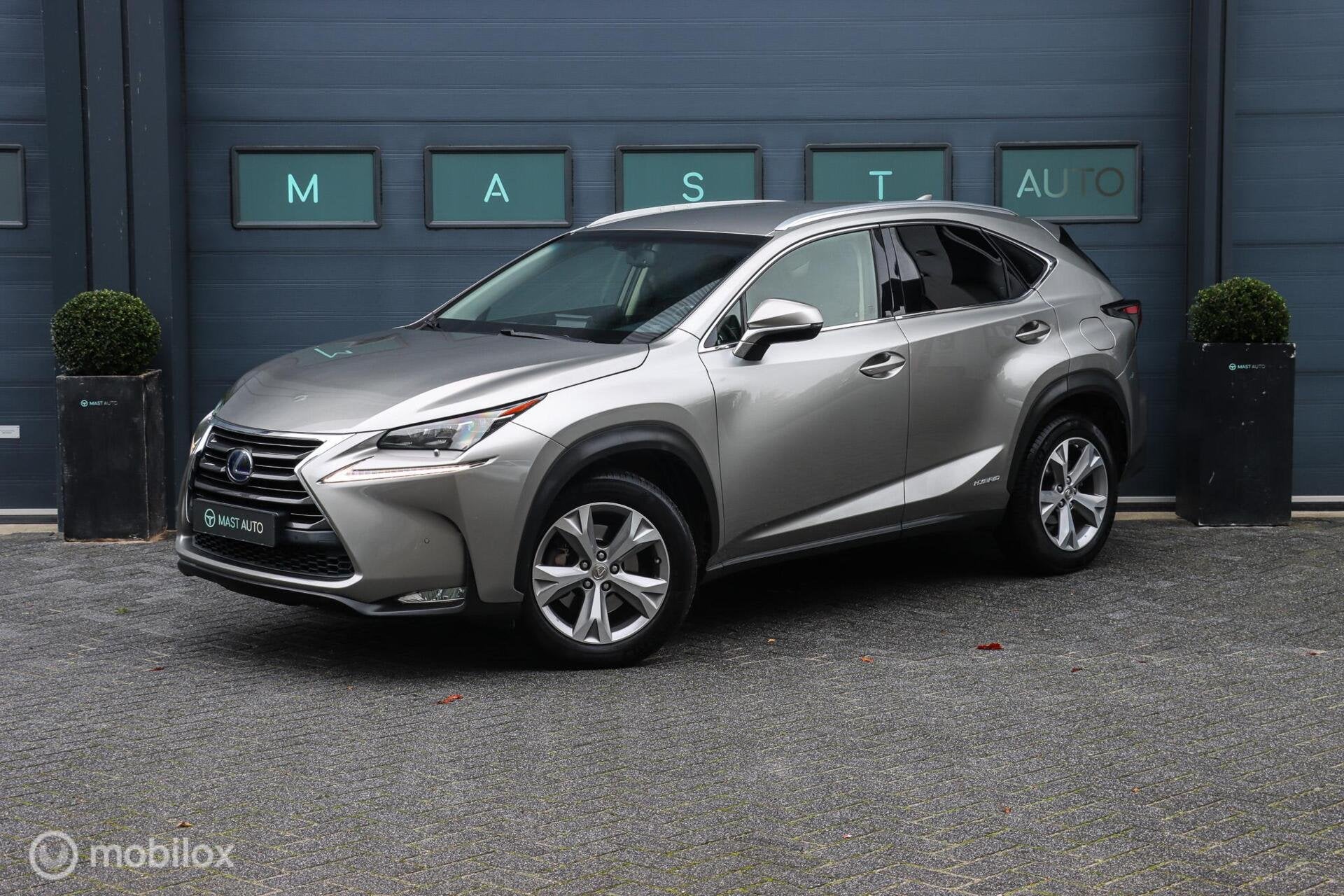 Lexus NX 300h AWD Luxury Line|LEDER|CAMERA|STOELVENTILATIE|M, Auto's, Automaat, Gebruikt, 1760 kg, Leder