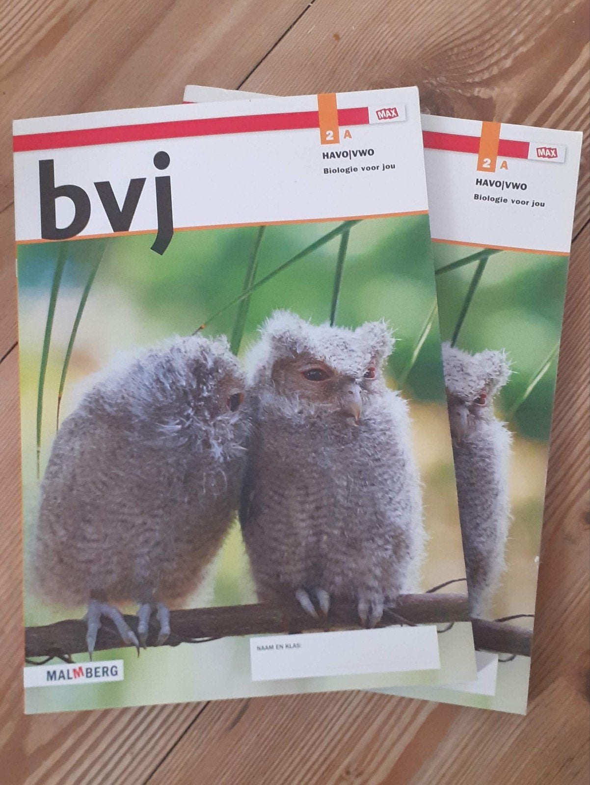 BVJ Biologie 2A -Havo/VWO -9789402072785/Werkboek Schoolboek, Malmberg, Biologie, Ophalen of Verzenden, HAVO