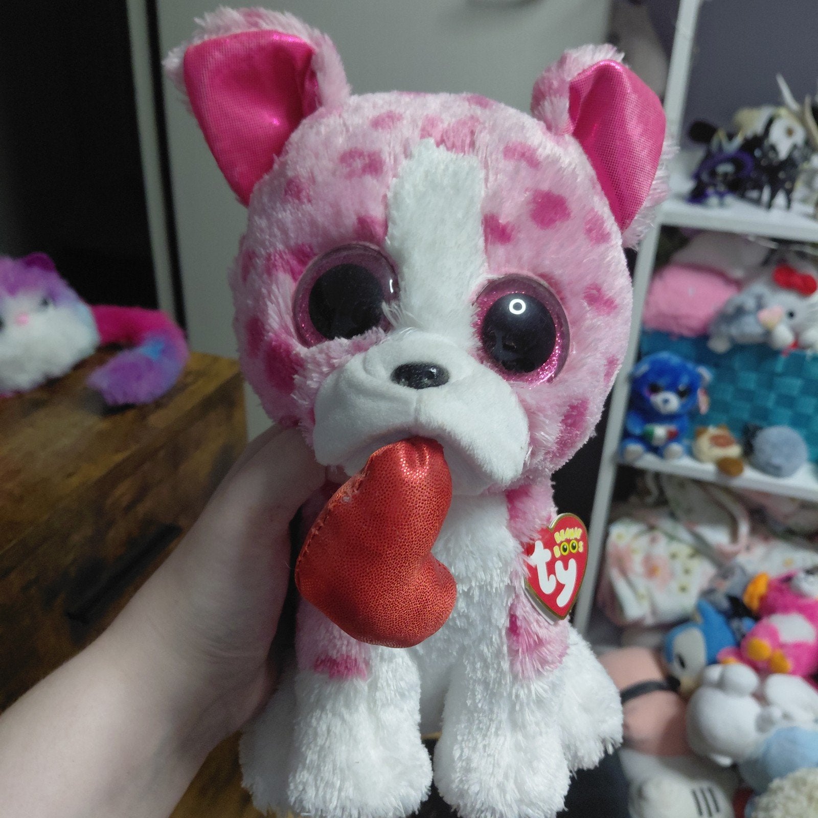 Ty Beanie Boos Romeo the Dog knuffel, Overige karakters, Nieuw, Met label, Middelgroot (20 tot 80 cm)
