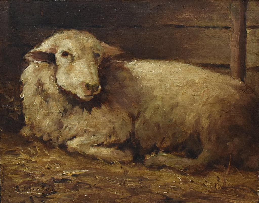 Liggend schaap-Adriaan Miolée., Paneel, Verzenden, Dieren, Olieverf