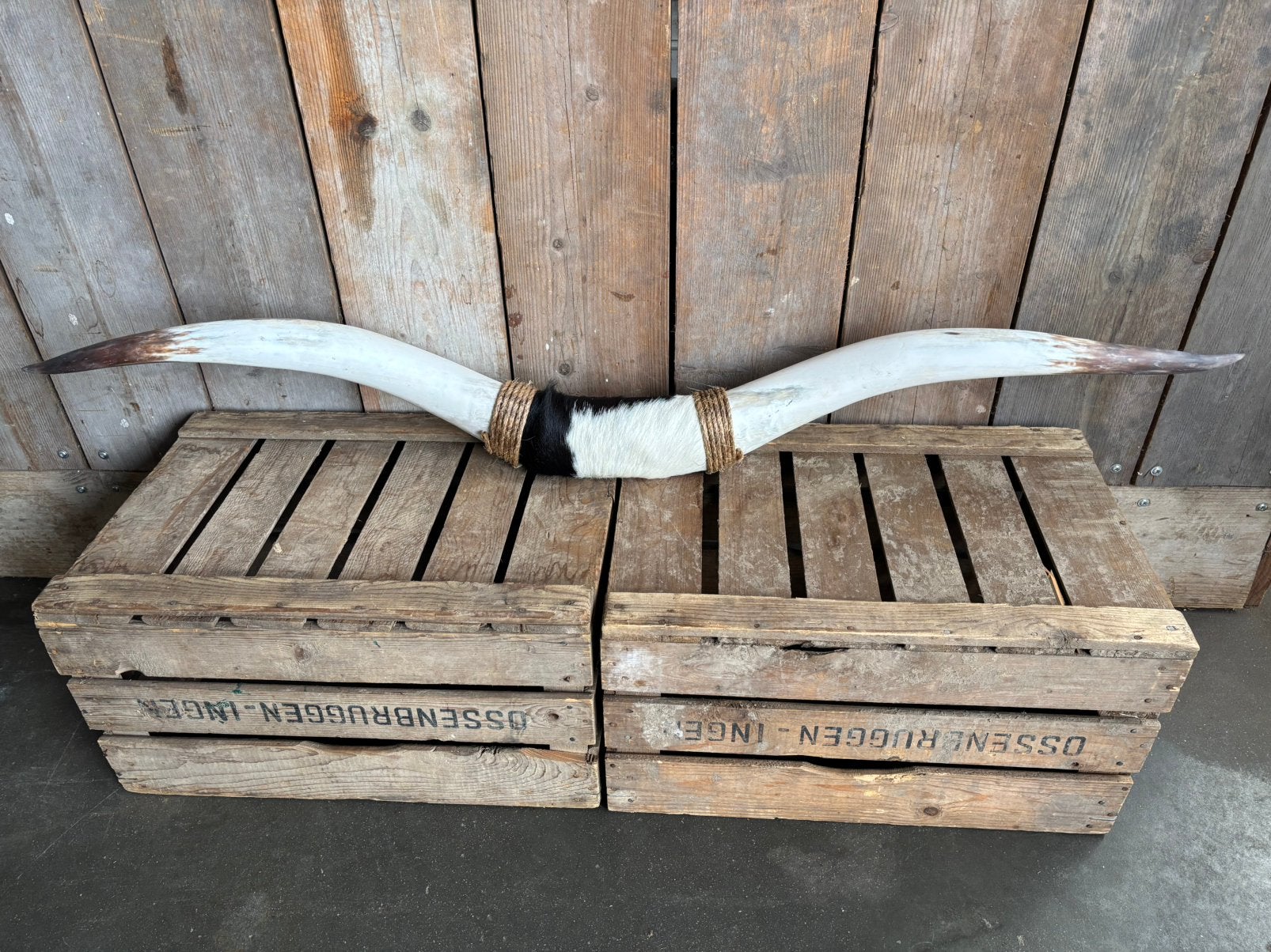 Mooie stoere Bullbar! (5), Ophalen, Nieuw, Overige soorten, Overige typen