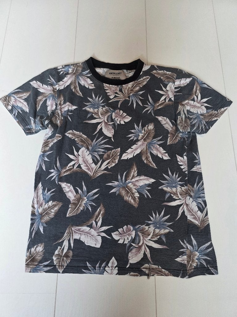 T-shirt Anerkjendt S, Kleding | Heren, T-shirts, Anerkjendt, Ophalen of Verzenden, Grijs, Gedragen