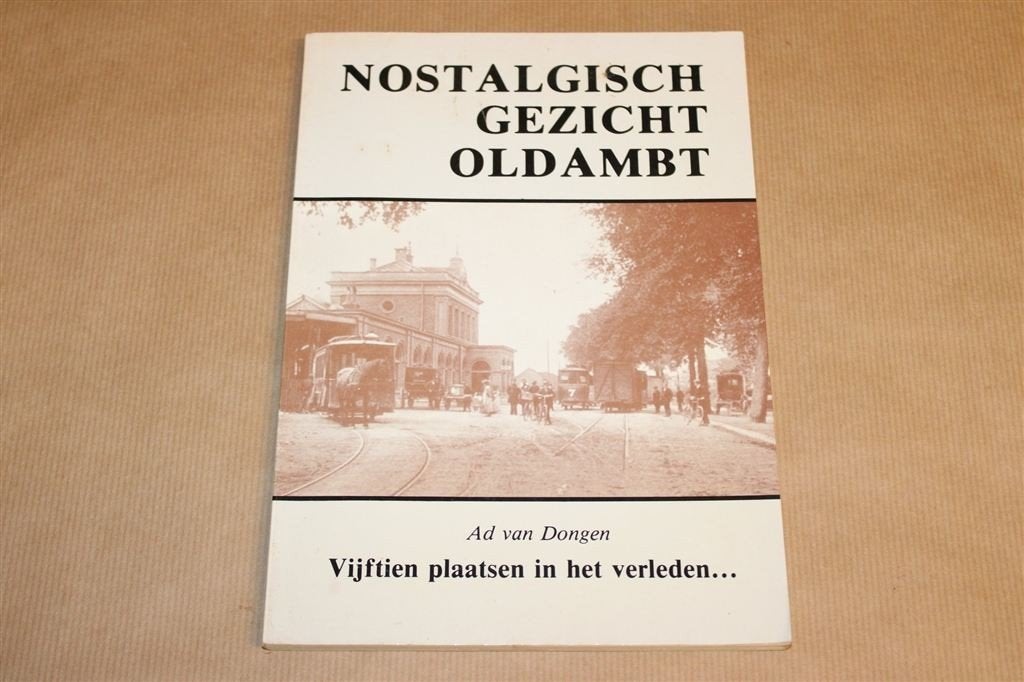Oldambt in het Verleden — Nostalgisch Gezicht — 1982, Ophalen of Verzenden, Gelezen