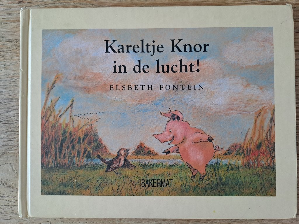 KARELTJE KNOR IN DE LUCHT. ELISABETH FONTEIN., Boeken, Gelezen, Fictie algemeen, Jongen of Meisje, Ophalen of Verzenden
