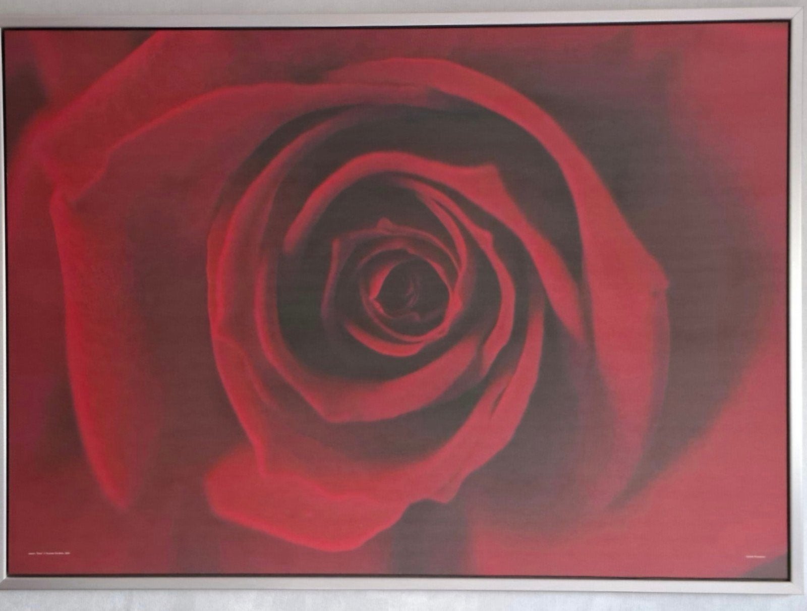 Grote ingelijste print van een rode roos van Ikea, Ophalen, 50 – 75, 75 tot 100 cm, Print