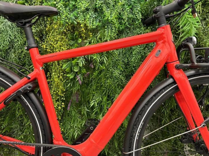 Momentum Giant Voya E+ Belt Drive - NIEUW! . 53cm M, Fietsen en Brommers, Pascallaan 66, 8218 NJ Lelystad, Nieuw, Info@giant-europe.com
