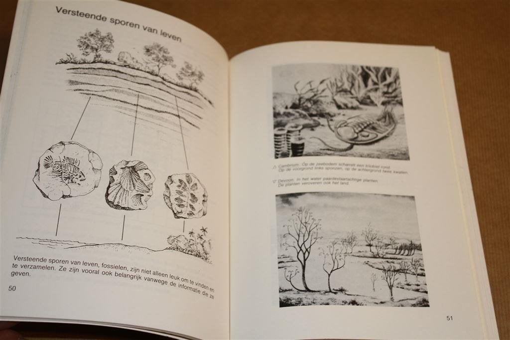Kijk op geologie. De bodem onder onze voeten. Boek., Verzamelen, Mineralen en Fossielen, Ophalen of Verzenden, Schelp(en)