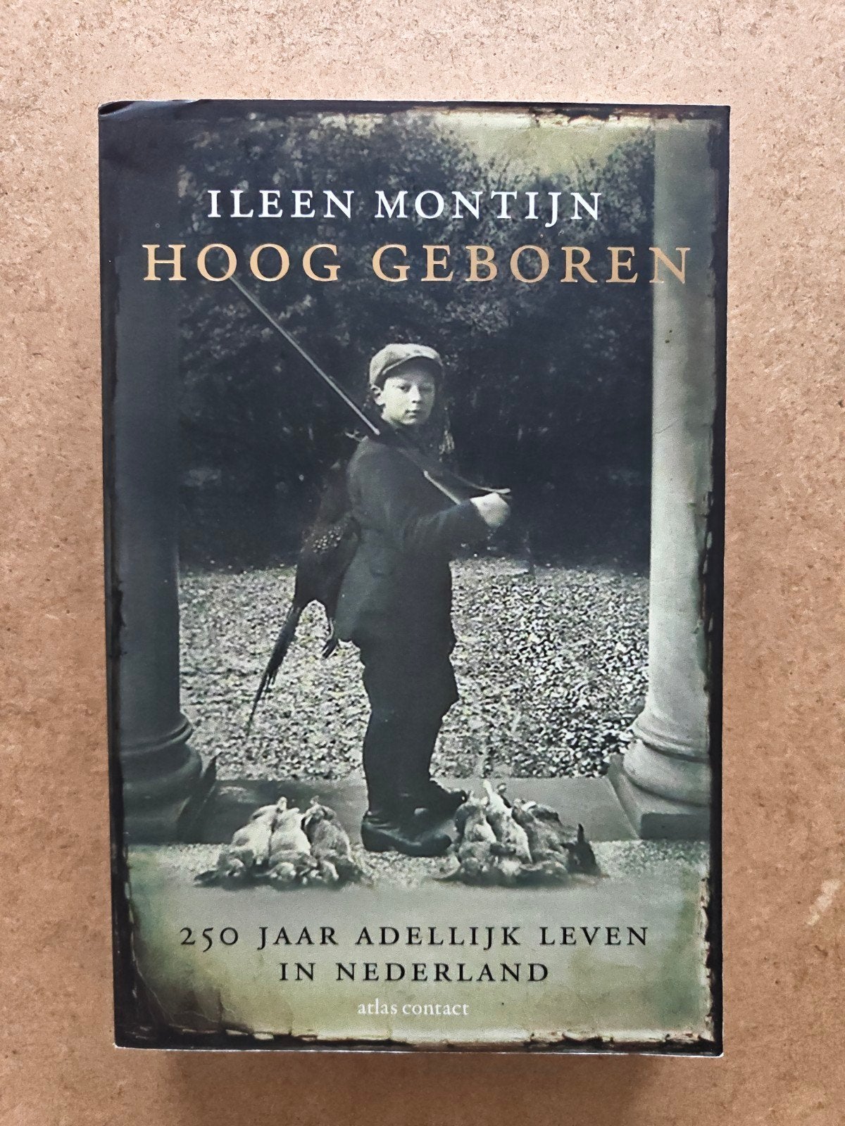 Hoog Geboren: 250 jaar adellijk leven in Nederland, Ophalen of Verzenden, Gelezen, Ileen Montijn, Kunst en Cultuur