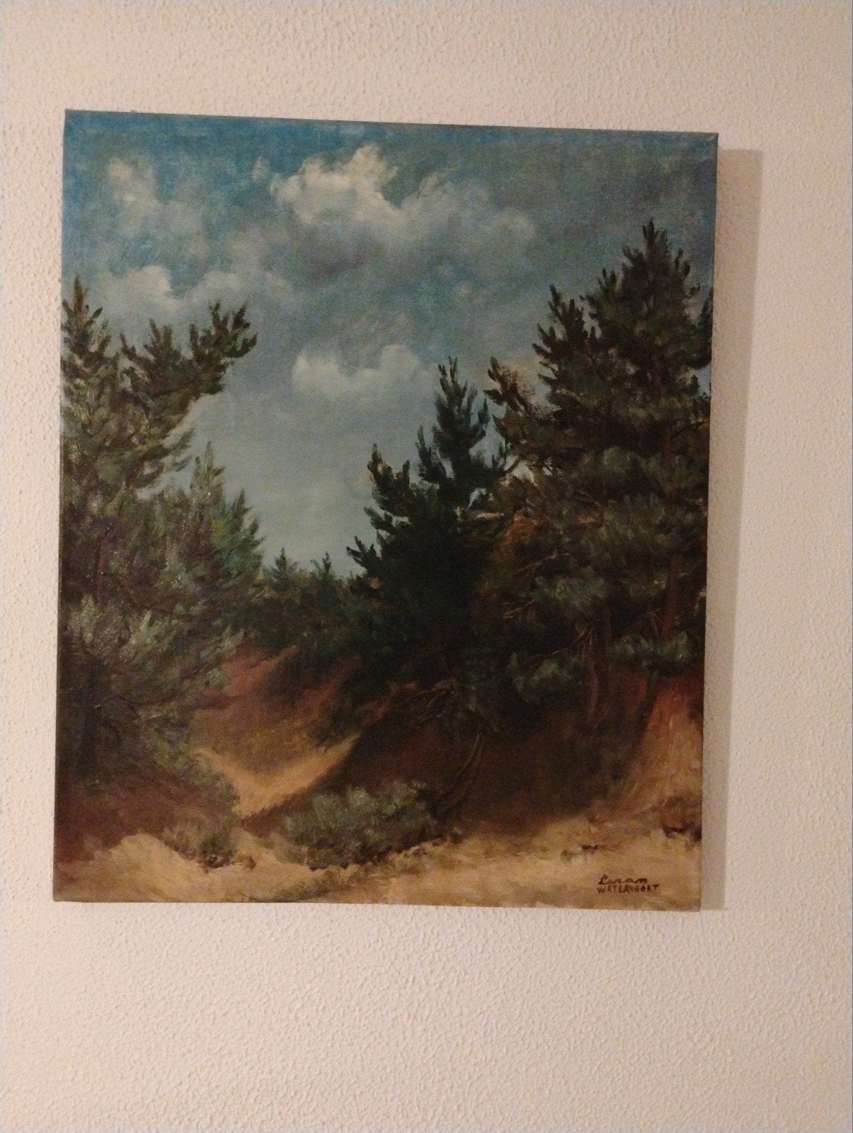 Schilderij 50x60cm - Landschap met dennenbomen, Antiek en Kunst, Ophalen