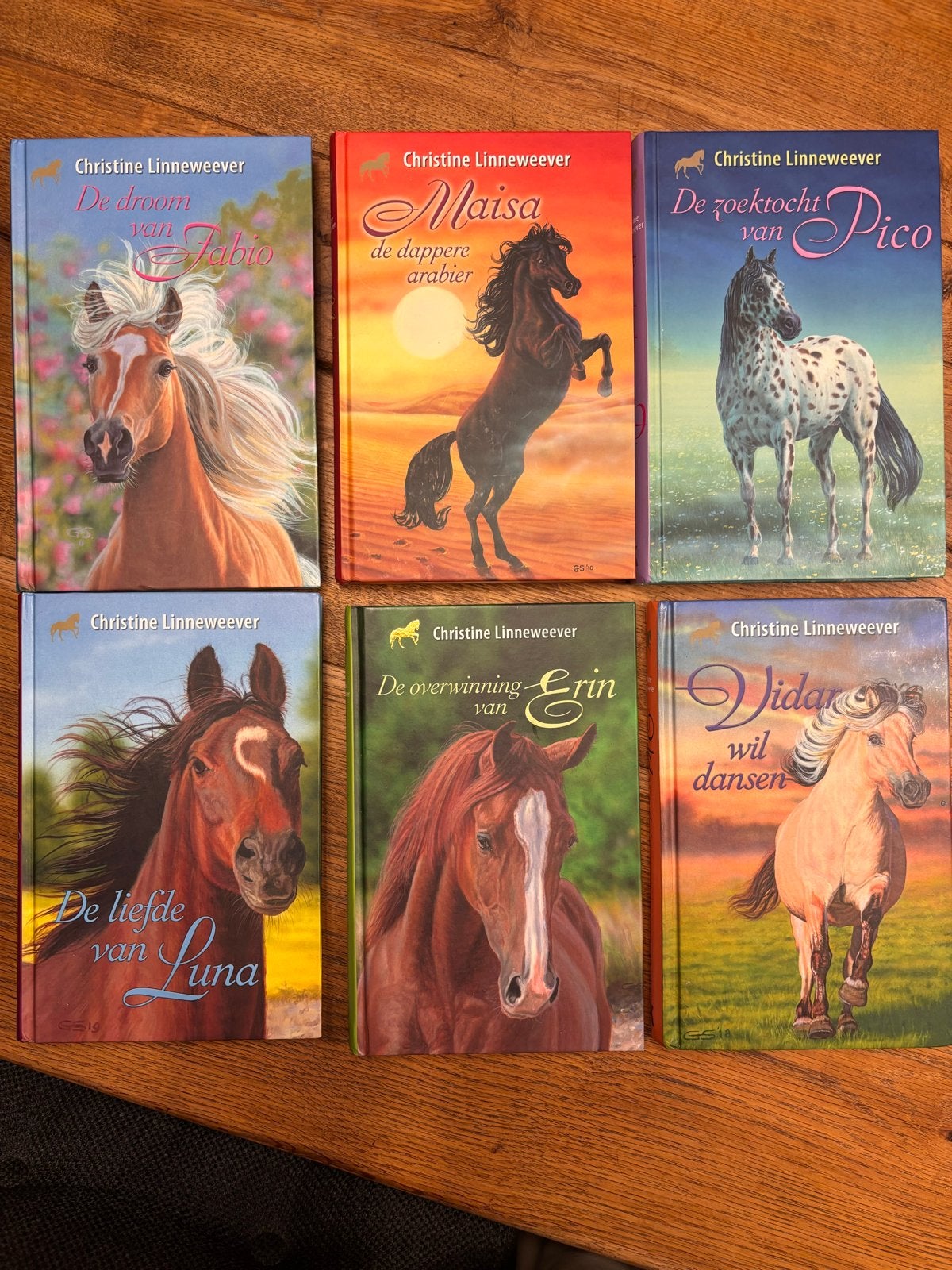 6x Christine Linneweever paardenboeken - Zo goed als nieuw, Boeken, Ophalen of Verzenden, Zo goed als nieuw, Fictie
