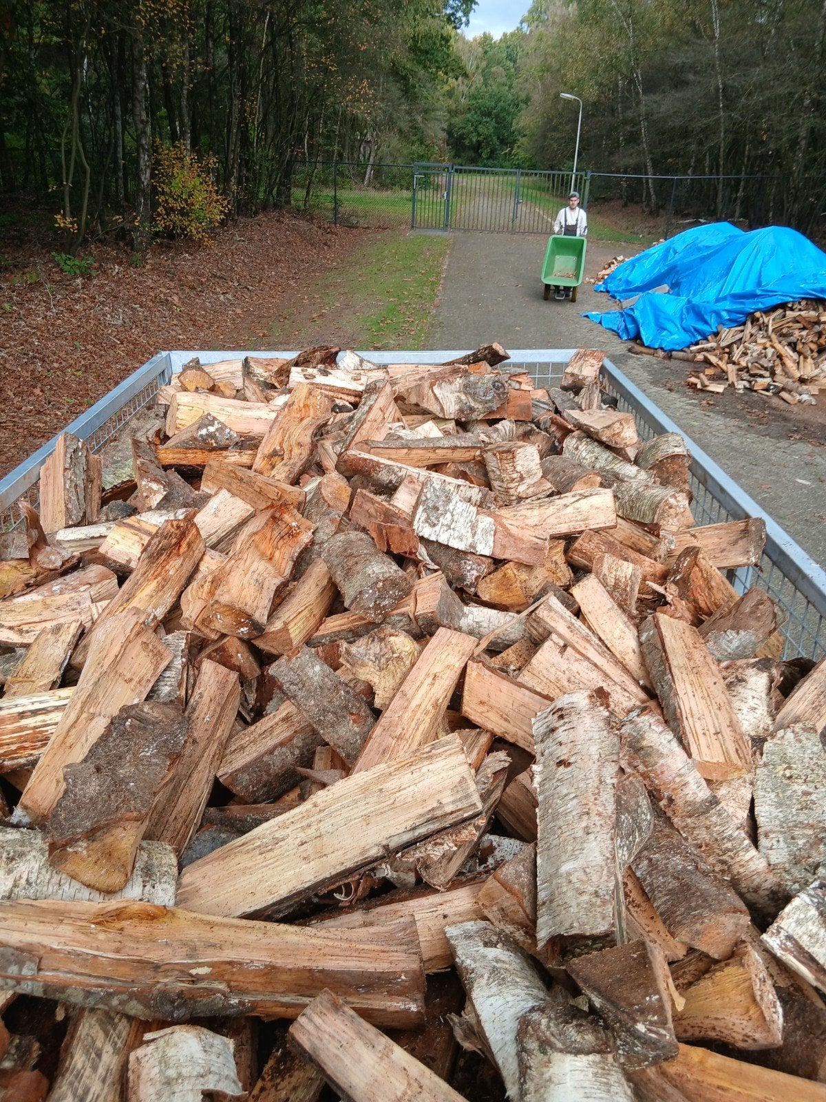 open haard hout kachel hout, Ophalen of Verzenden