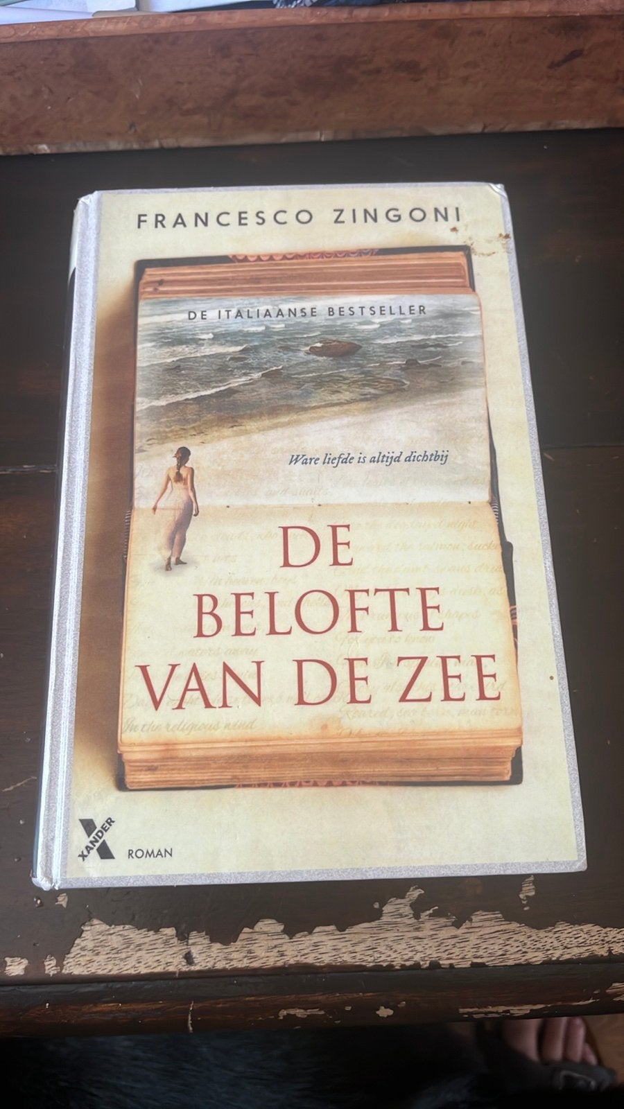 De Belofte van de Zee - Francesco Zingoni, Ophalen of Verzenden, Gelezen, Europa overig
