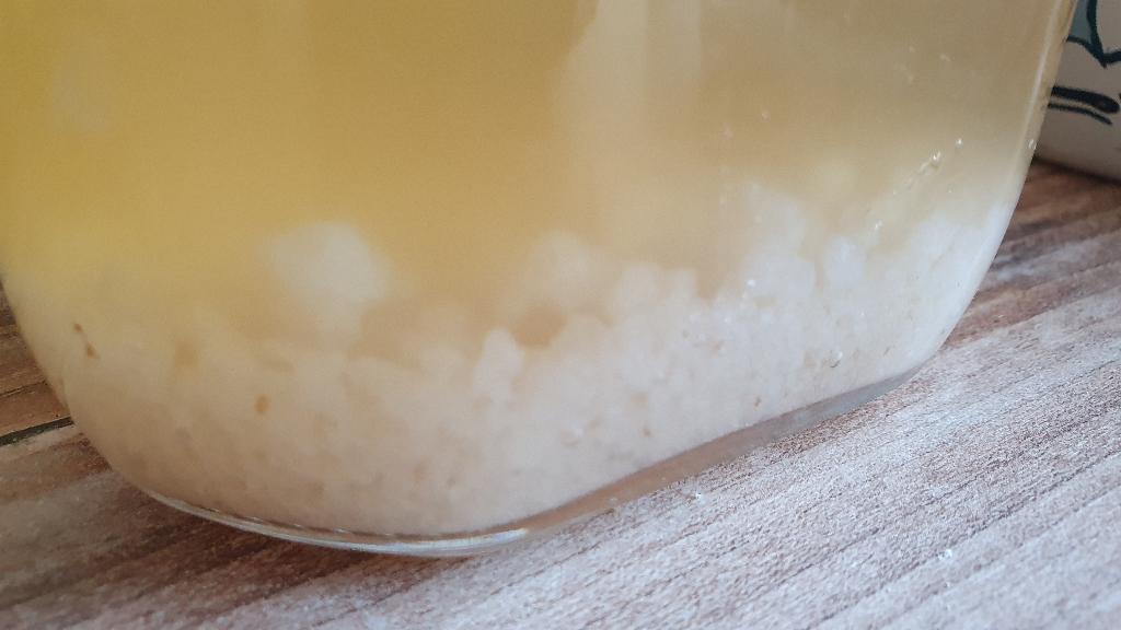 Gratis af te halen-waterkefir korrels, Ophalen