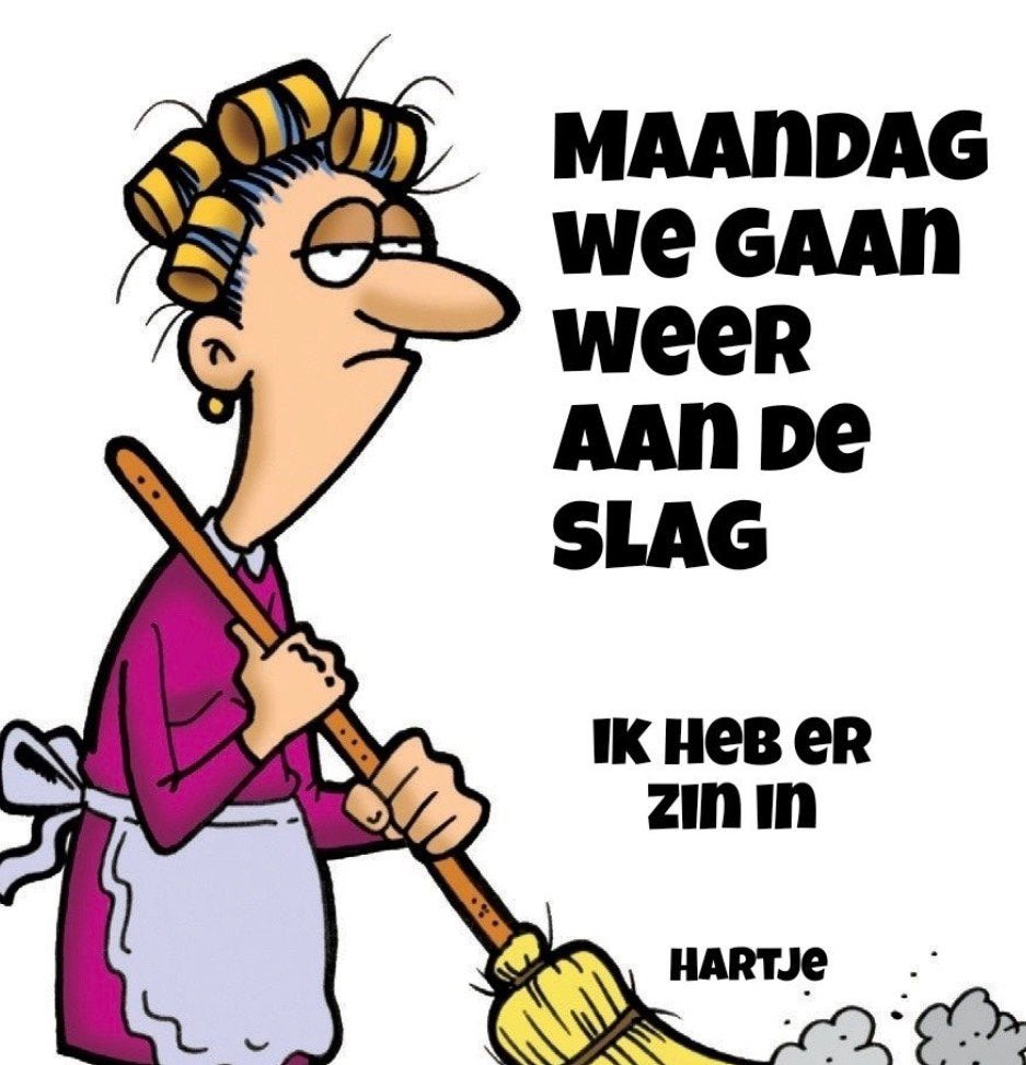 Huishoudelijke hulp - Zwolle, Overige uren, Overige niveaus, Vanaf 10 jaar, Overige vormen
